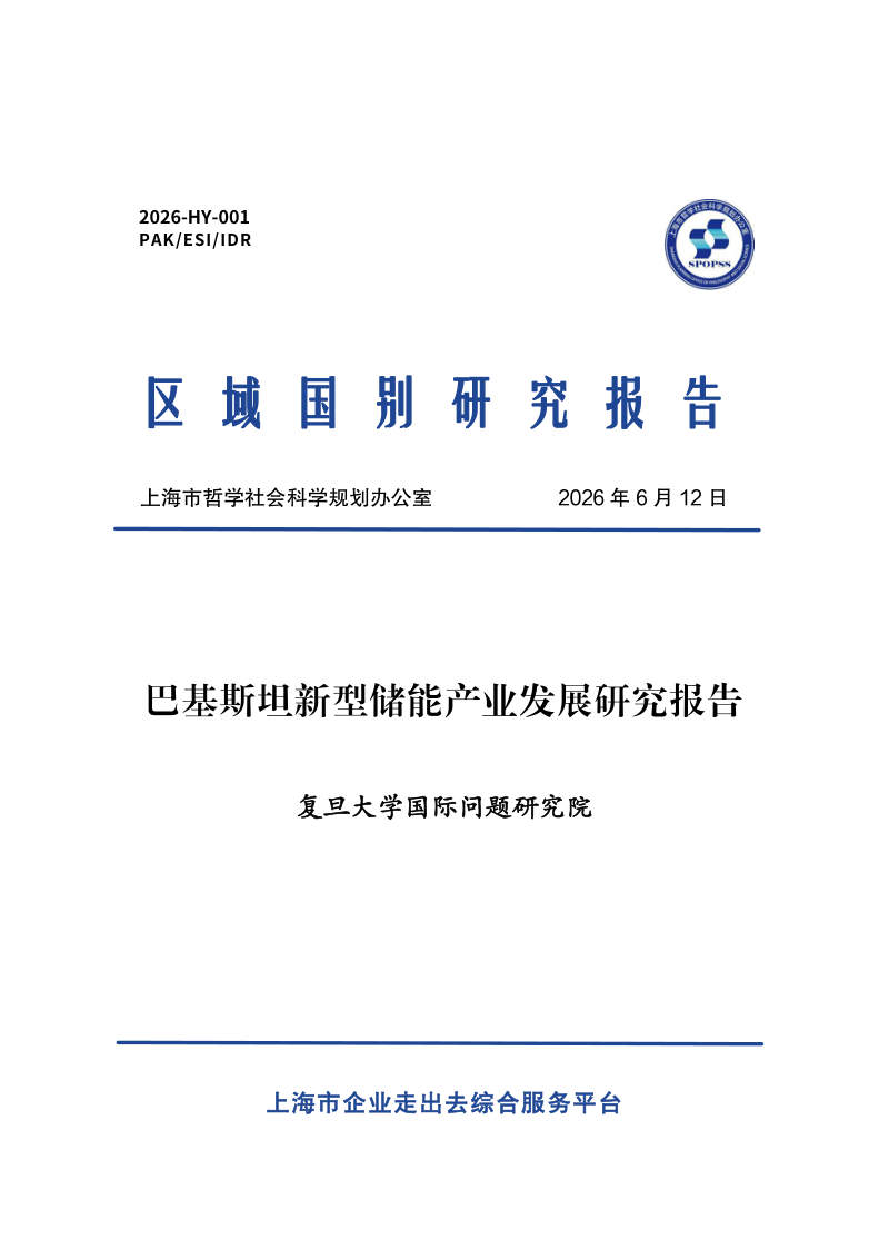 巴基斯坦新型储能产业发展研究报告 封面